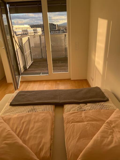 Apartment Rooftop Terrace- Panoramablick Ueber Wien